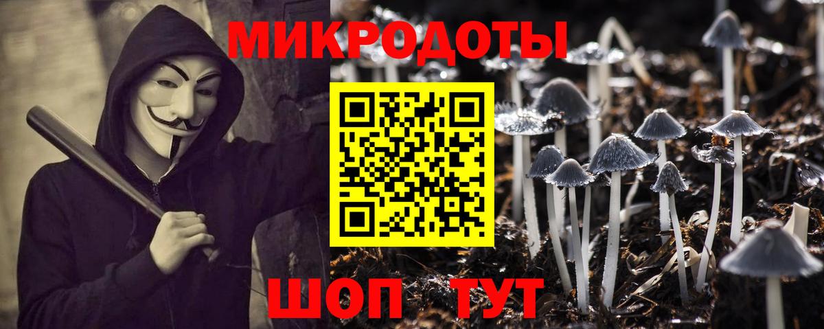 Псилоцибиновые грибы GOLDEN TEACHER Майский
