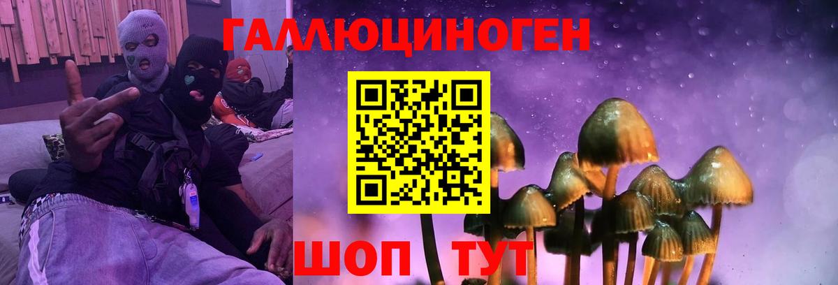 Майский  Галлюциногенные грибы прущие грибы  Вход с VPN  Галлюциногенные грибы ЛСД 